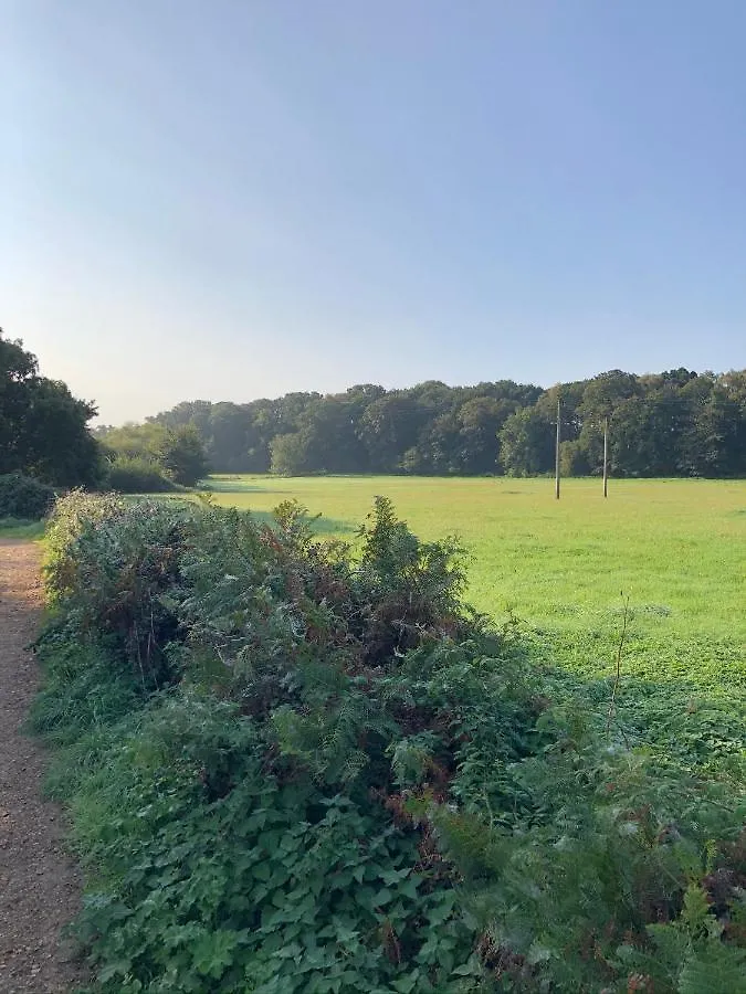 Grade 2 Listed Barn On The Edge Of Bournemouth And The New Forest Villa 0*,